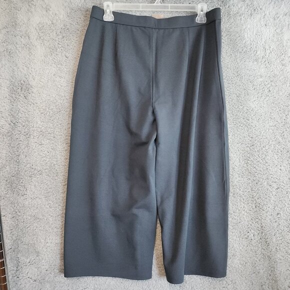 J. Jill Womens Pants Size XL Double Face Jersey Pinktucked Cropped Lavarock - Picture 2 of 13